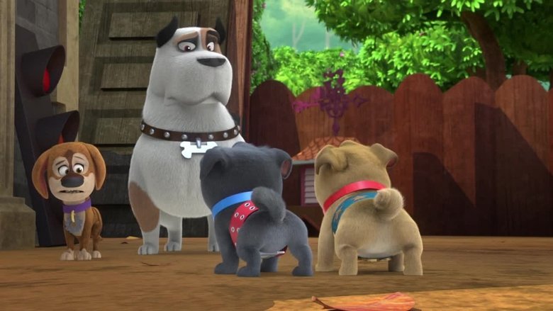 Puppy Dog Pals – Season 3 - Episode 29 – Bob's Blue Belt