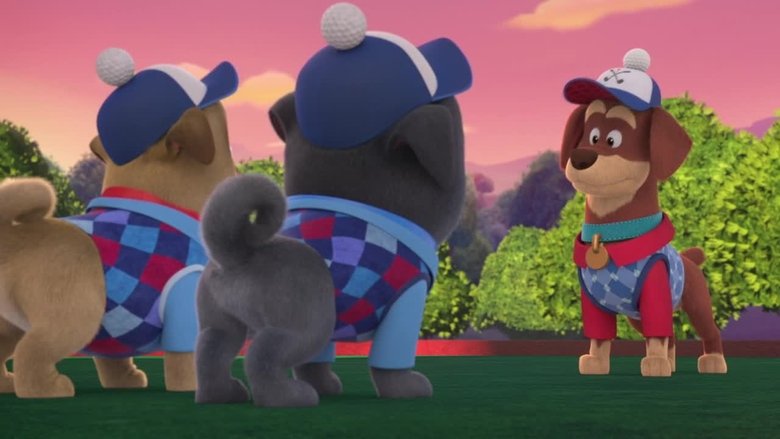 Puppy Dog Pals – Season 3 - Episode 42 – Summer Splash Bash