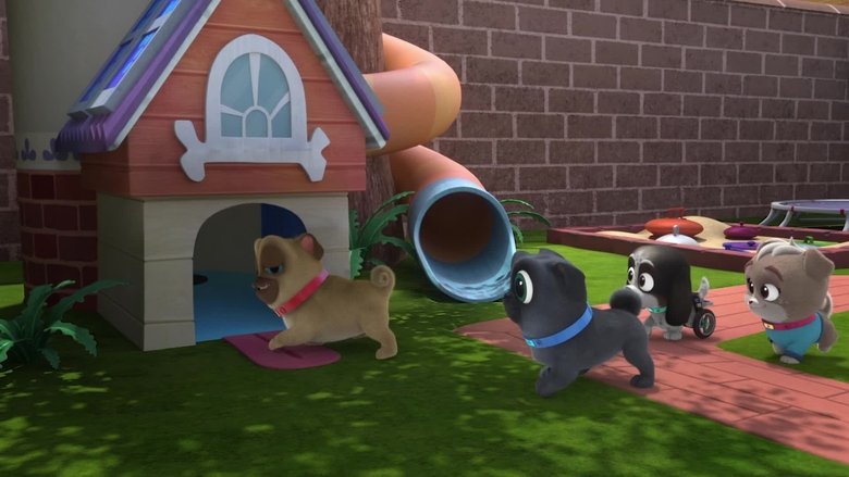 Puppy Dog Pals – Season 4 - Episode 20 – Dog Wash Derby