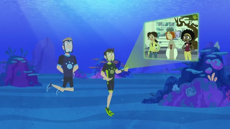 Wild Kratts – Season 2 - Episode 12 – Seahorse Rodeo