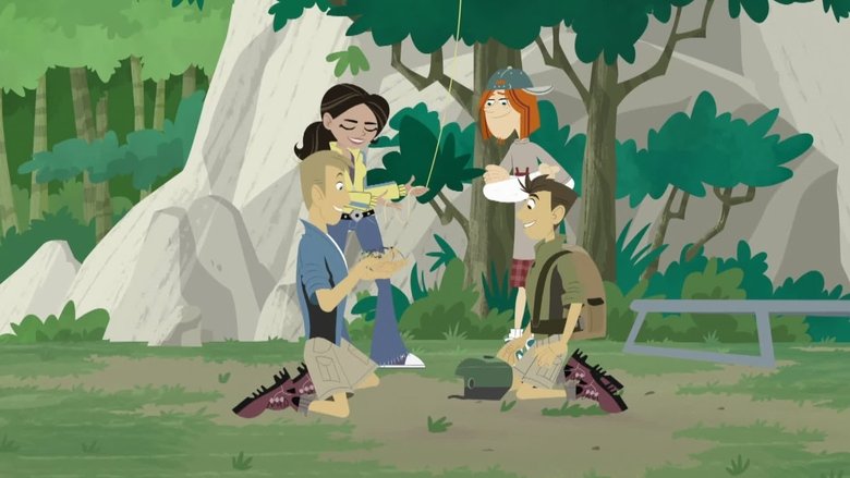 Wild Kratts – Season 2 - Episode 5 – Secrets of the Spider's Web