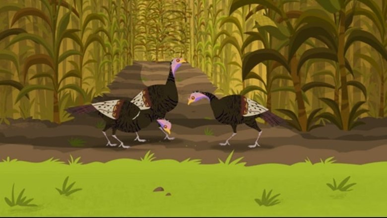 Wild Kratts – Season 2 - Episode 6 – Happy Turkey Day