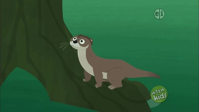 Wild Kratts – Season 3 - Episode 3 – Bandito: The Black-Footed Ferret