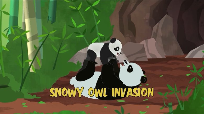 Wild Kratts – Season 4 - Episode 16 – Snowy Owl Invasion