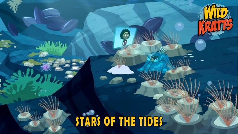 Wild Kratts – Season 4 - Episode 2 – Stars of the Tides