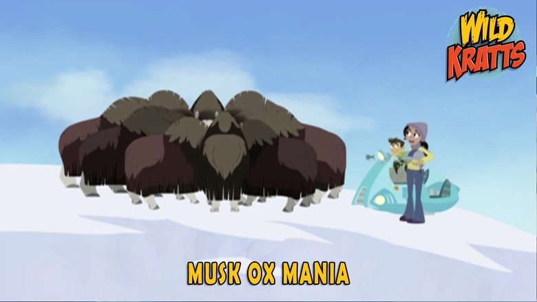 Wild Kratts – Season 4 - Episode 24 – Musk Ox Mania