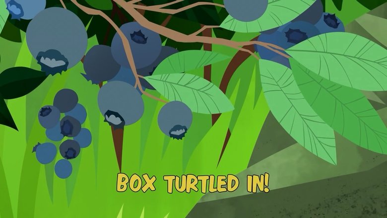 Wild Kratts – Season 4 - Episode 3 – Box Turtled In!