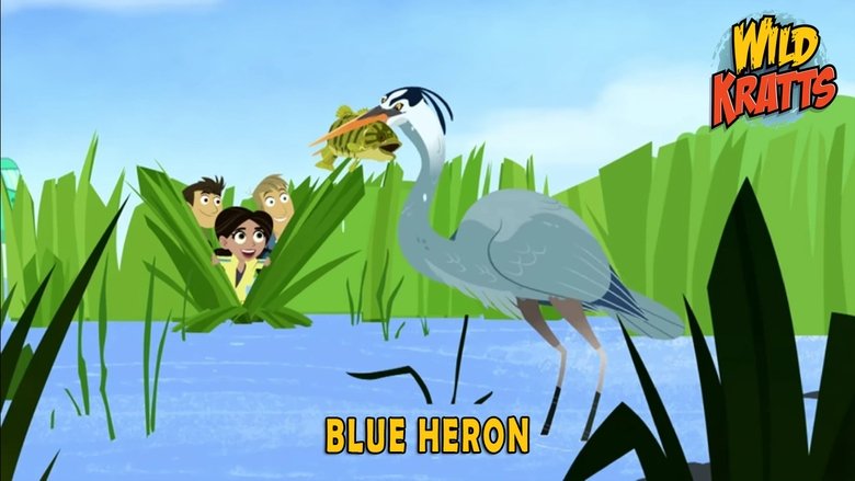 Wild Kratts – Season 5 - Episode 11 – Blue Heron
