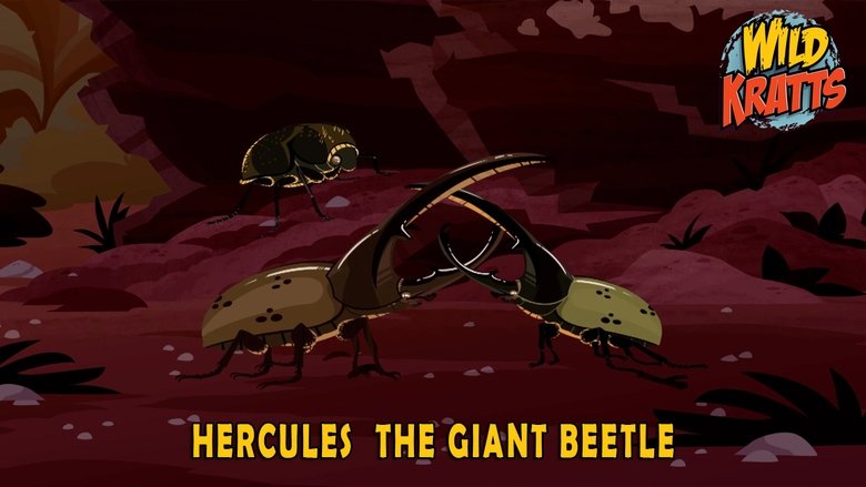 Wild Kratts – Season 5 - Episode 16 – Hercules – The Giant Beetle