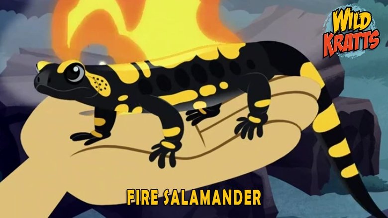 Wild Kratts – Season 5 - Episode 5 – Fire Salamander