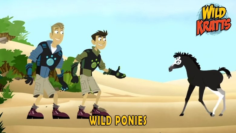 Wild Kratts – Season 5 - Episode 7 – Wild Ponies