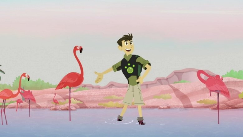 Wild Kratts – Season 6 - Episode 1 – Mystery of the Flamingo's Pink
