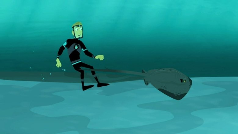 Wild Kratts – Season 6 - Episode 8 – The Vanishing Stingray