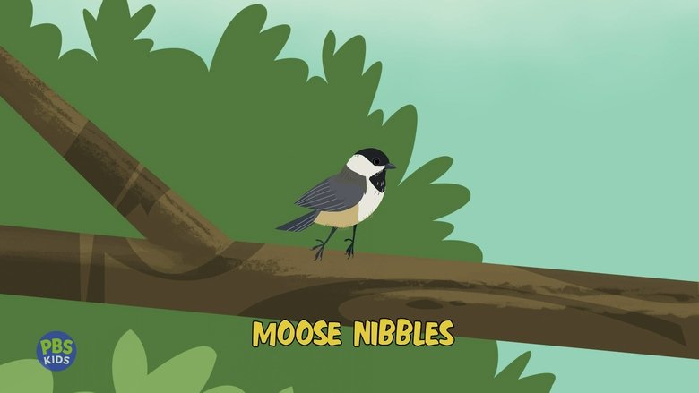 Wild Kratts – Season 7 - Episode 14 – Moose Nibbles