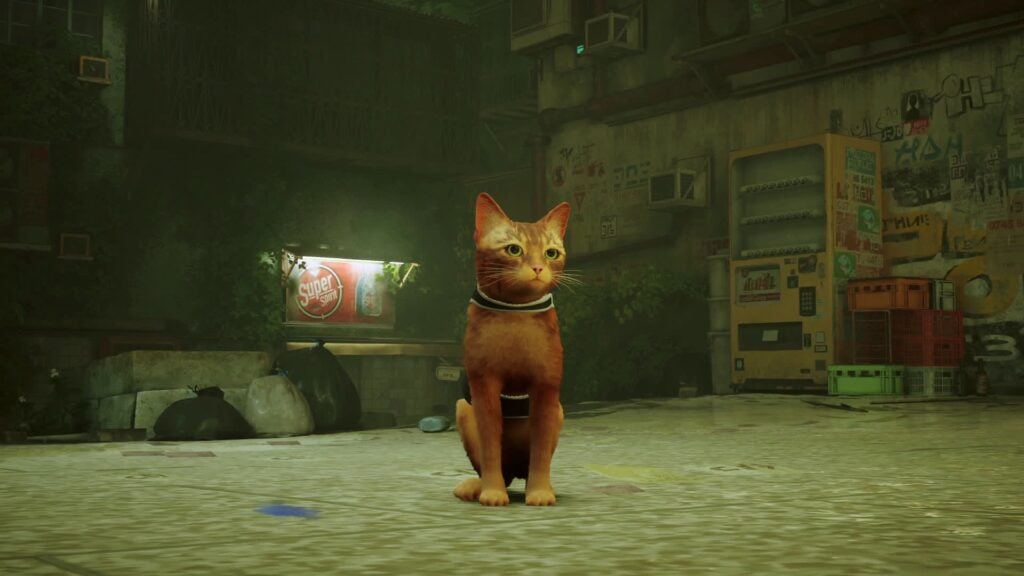 Stray Video Game