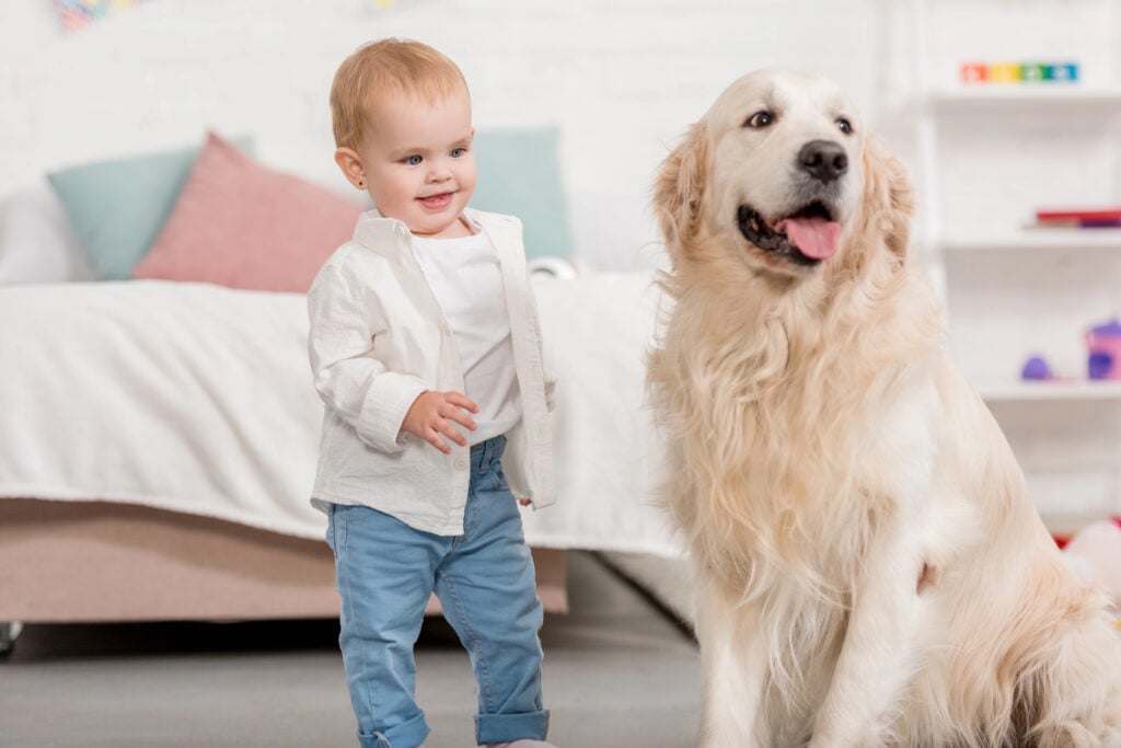 Dog loves toddler
