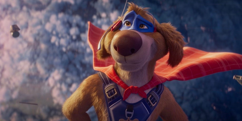 Charlie the wonderdog