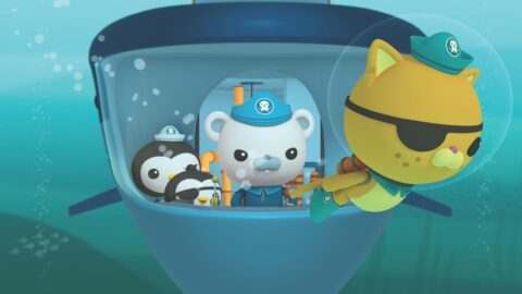 Cartoon Episodes About Marine Life For Kids Who Love The Ocean