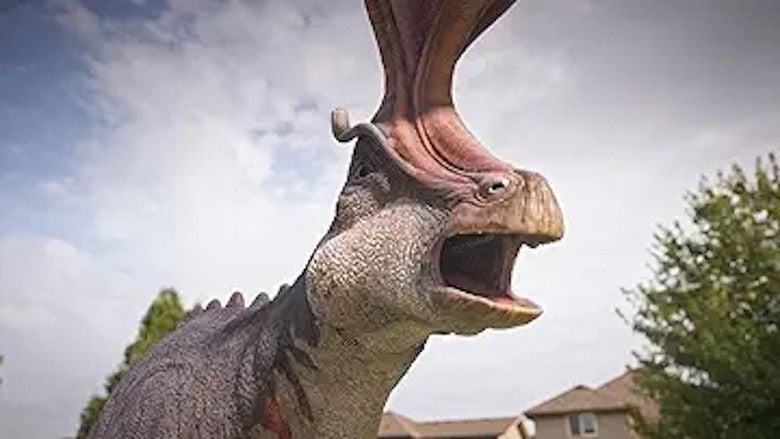 Dino Dex – Season 1 - Episode 6 – Dino Dress Up