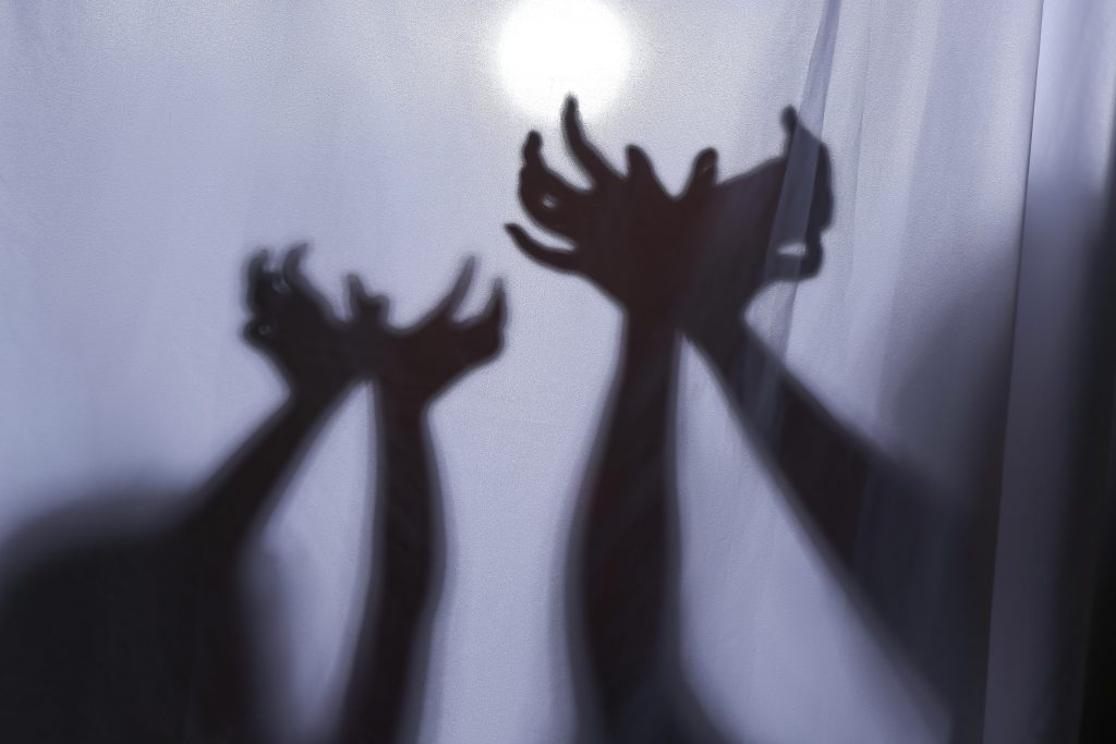 Mother and child performing a shadow play