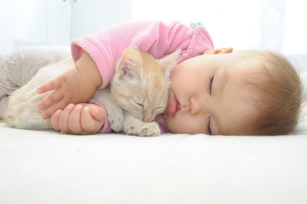 Baby and cat sleeping together despite possible allergies