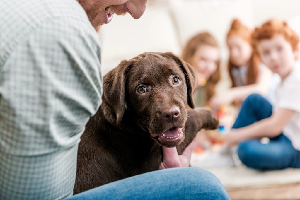 father holding puppy with kids in the background