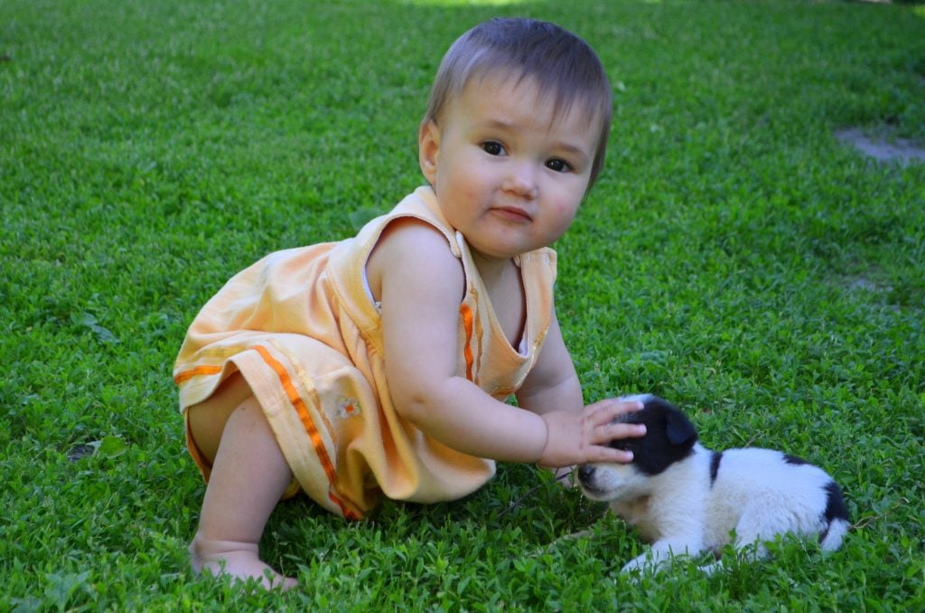 Little girl with possible allergies with puppy