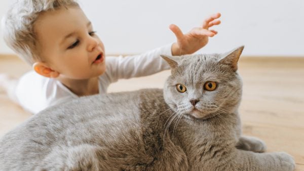 When Do Pet Allergies Show Up In Babies? And What Parents Can Do