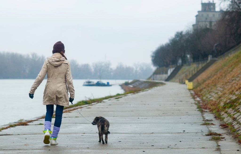 Teenage girl walking the dog on cloudy autumn day