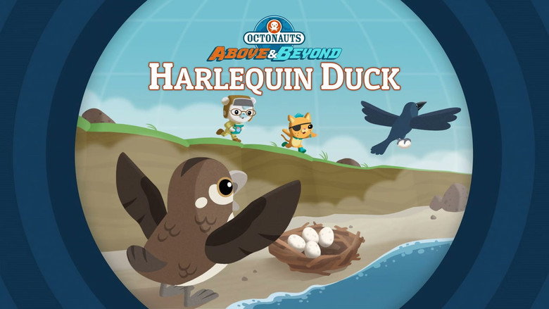 Octonauts: Above & Beyond – Season 1 - Episode 19 – The Octonauts and the Harlequin Duck