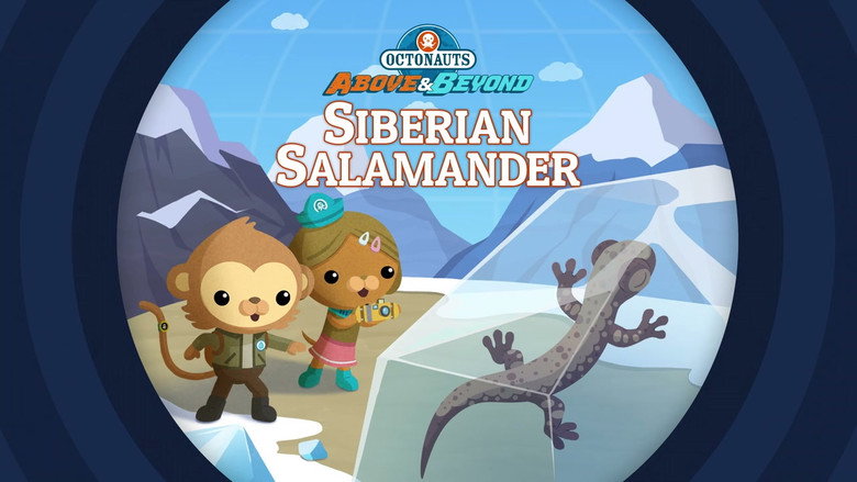 Octonauts: Above & Beyond – Season 1 - Episode 5 – The Octonauts and the Siberian Salamander