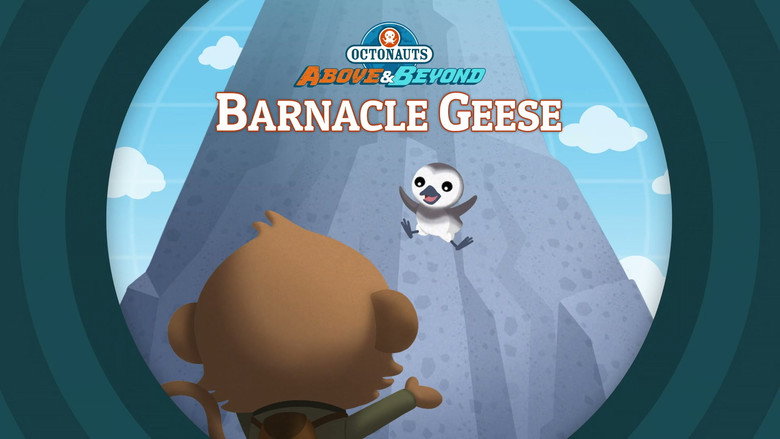 Octonauts: Above & Beyond – Season 2 - Episode 13 – Barnacle Geese