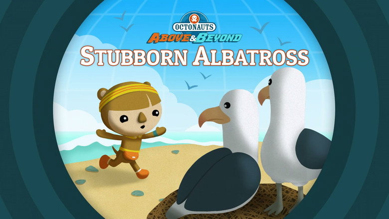 Octonauts: Above & Beyond – Season 2 - Episode 2 – Stubborn Albatross