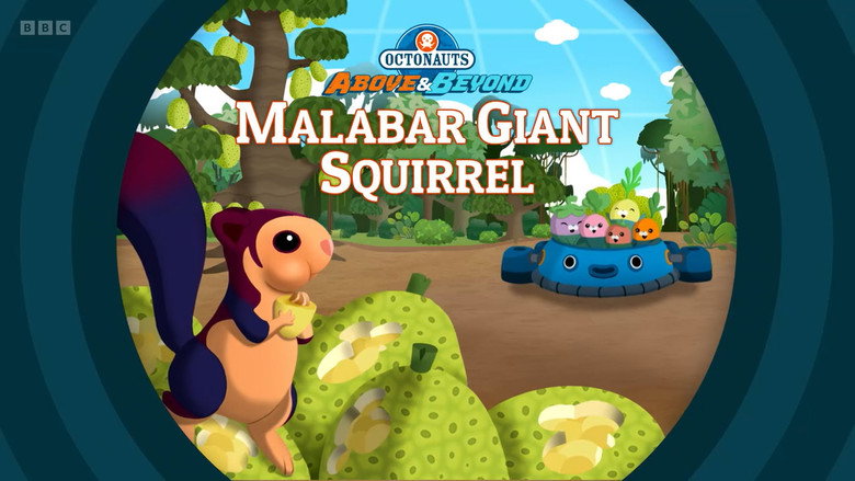 Octonauts: Above & Beyond – Season 3 - Episode 18 – Malabar Giant Squirrel