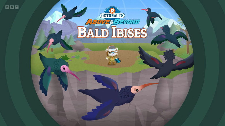 Octonauts: Above & Beyond – Season 3 - Episode 24 – Bald Ibises