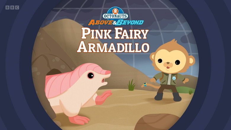 Octonauts: Above & Beyond – Season 3 - Episode 3 – Pink Fairy Armadillo