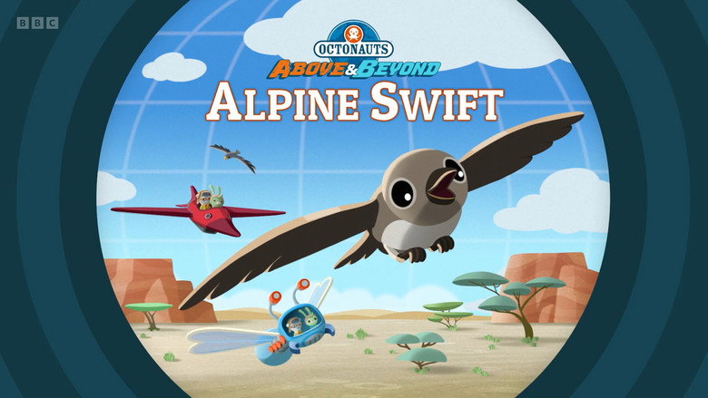 Octonauts: Above & Beyond – Season 4 - Episode 10 – Alpine Swift