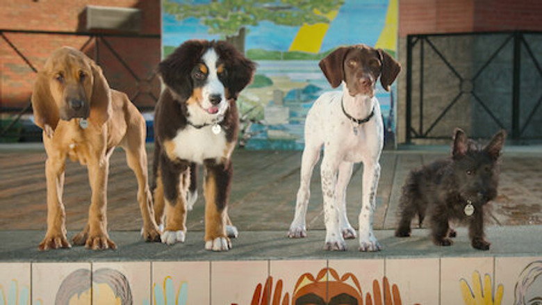Super PupZ – Season 1 - Episode 1 – Pilot