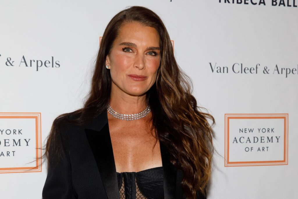 Brooke Shields at arrivals for New York Academy of Art''s Tribeca Ball Presented by Van Cleef & Arpels, New York Academy of Art, 111 Franklin Street, New York, NY April 3, 2017. Photo By: Jason Smith/Everett Collection