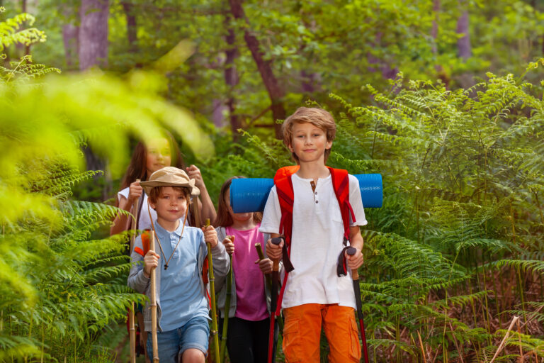 Group of children walk on the hike trail with sticks and backpacks during camping activity
