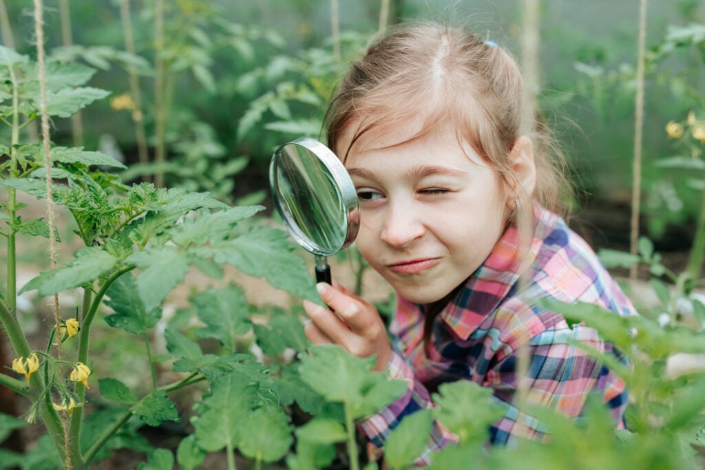 Handsome kid girl Naturalist Scientist Explores Plant Life and Insect Life with Magnifying Glass