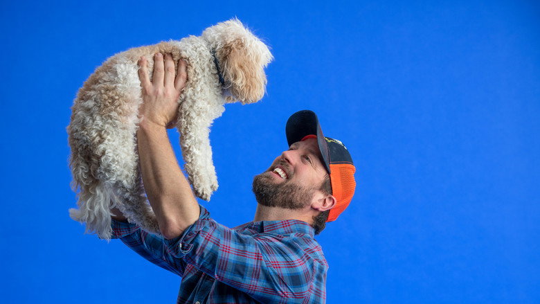 The Wizard of Paws – Season 1 - Episode 9 – Bear