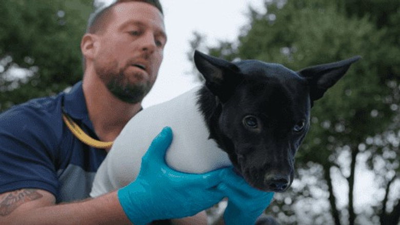 The Wizard of Paws – Season 2 - Episode 4 – Shadow
