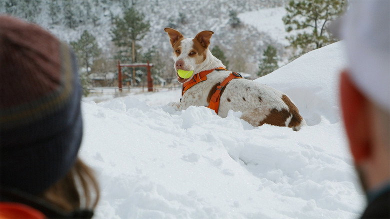 The Wizard of Paws – Season 4 - Episode 1 – Ski Pawtrol