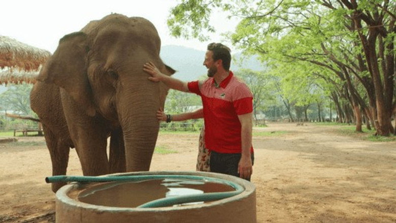 The Wizard of Paws – Season 4 - Episode 11 – Love & Elephants Part 2