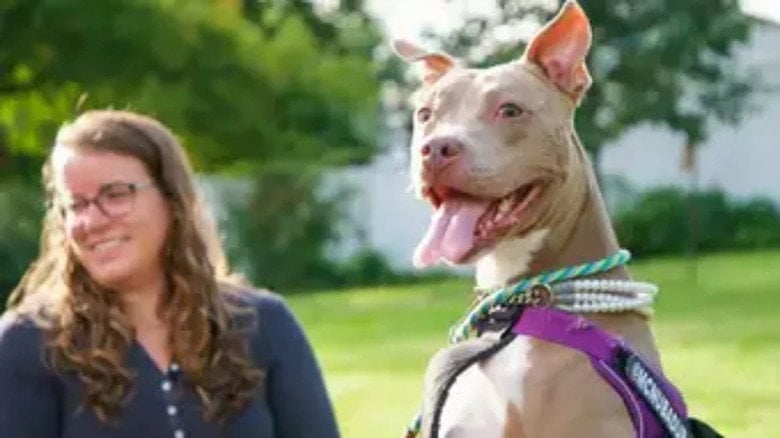 The Wizard of Paws – Season 5 - Episode 7 – Ready, Set, Hanabi!