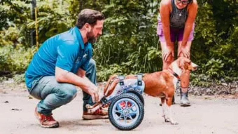 The Wizard of Paws – Season 6 - Episode 10 – Miracle in Honduras (Part 2)