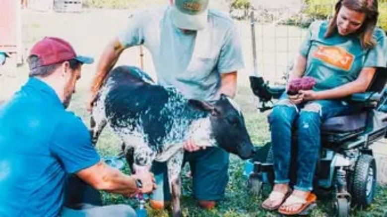 The Wizard of Paws – Season 6 - Episode 6 – Loretta the Miniature Zebu