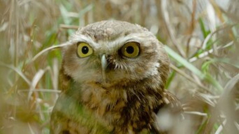 Tiny Creatures – Season 1 - Episode 3 – Minnesota