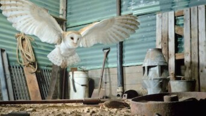 Tiny Creatures – Season 1 - Episode 4 – Texas